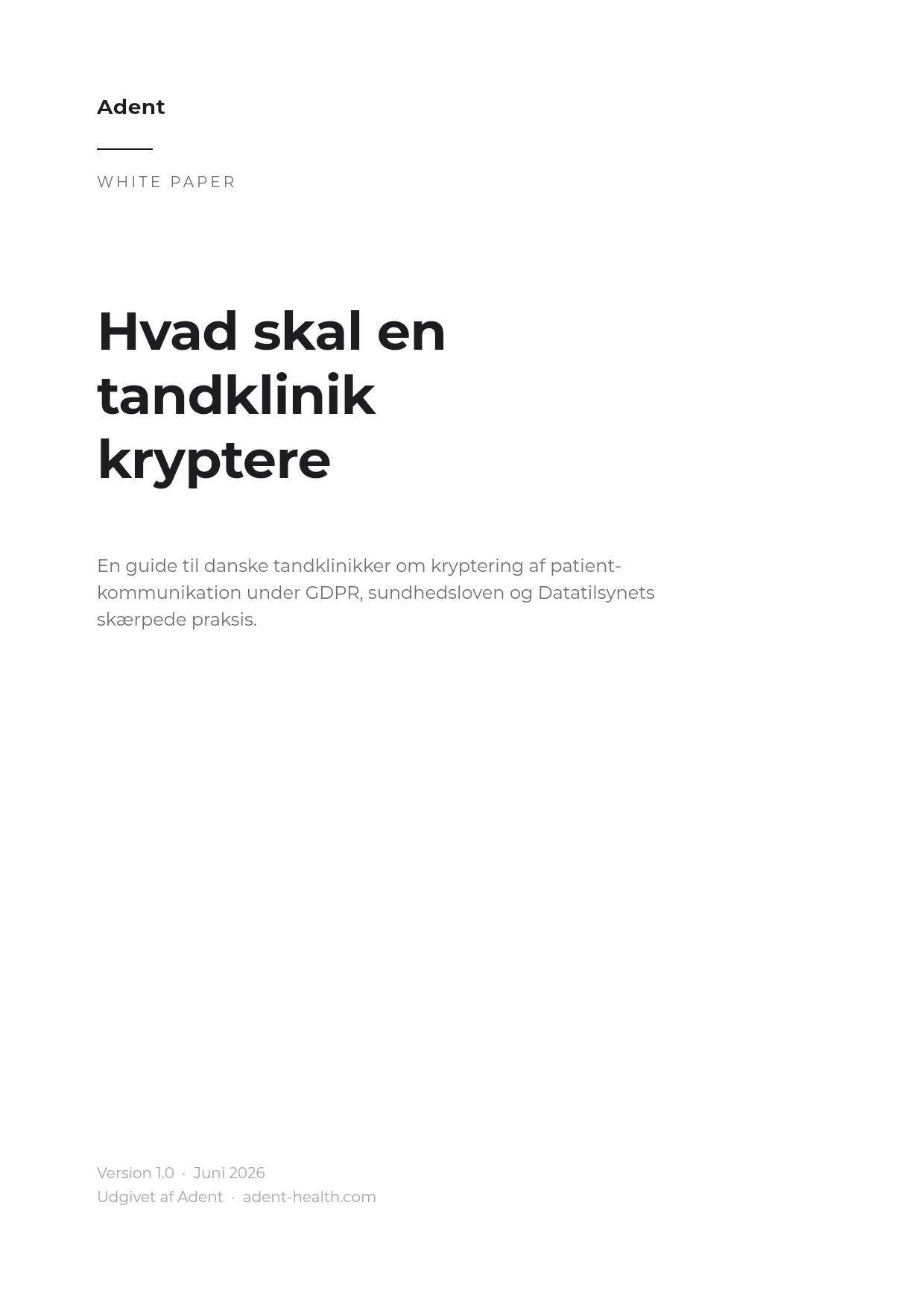 White paper cover: Hvad skal en tandklinik kryptere